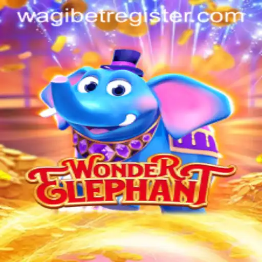 Discover the WonderElephant Experience